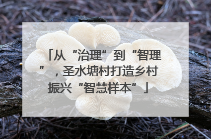 从“治理”到“智理”，圣水塘村打造乡村振兴“智慧样本”