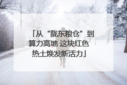从“陇东粮仓”到算力高地 这块红色热土焕发新活力