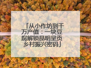 从小作坊到千万产值：一块豆腐解锁昆明呈贡乡村振兴密码