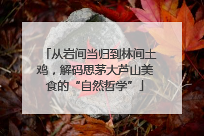 从岩间当归到林间土鸡，解码思茅大芦山美食的“自然哲学”