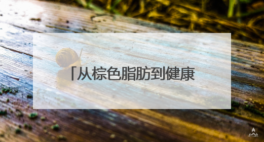 从棕色脂肪到健康管理：呜咔实验室的科学革新之路