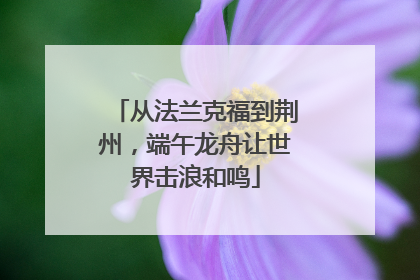 从法兰克福到荆州，端午龙舟让世界击浪和鸣