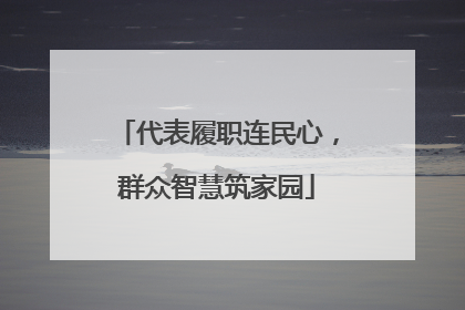 代表履职连民心，群众智慧筑家园