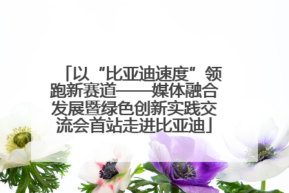 以“比亚迪速度”领跑新赛道——媒体融合发展暨绿色创新实践交流会首站走进比亚迪