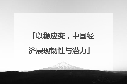 以稳应变，中国经济展现韧性与潜力