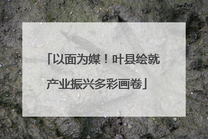 以面为媒！叶县绘就产业振兴多彩画卷