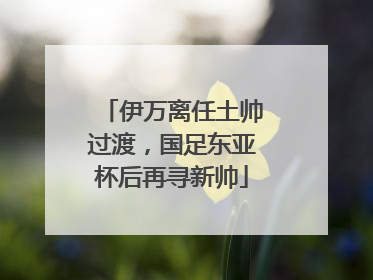 伊万离任土帅过渡，国足东亚杯后再寻新帅