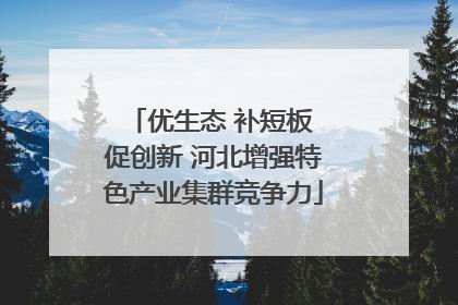 优生态 补短板 促创新 河北增强特色产业集群竞争力