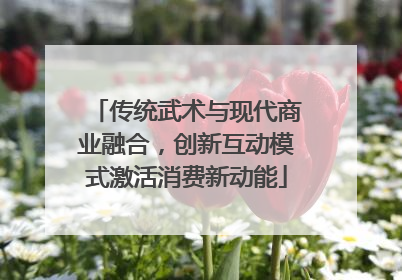 传统武术与现代商业融合，创新互动模式激活消费新动能