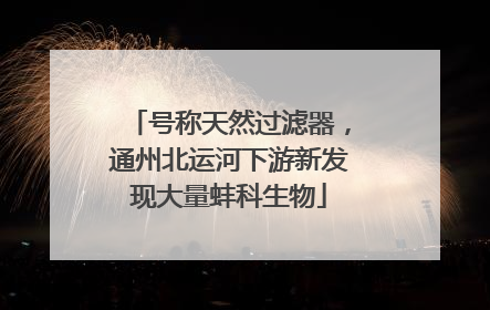 号称天然过滤器，通州北运河下游新发现大量蚌科生物