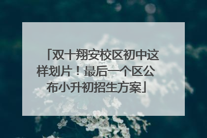 双十翔安校区初中这样划片！最后一个区公布小升初招生方案