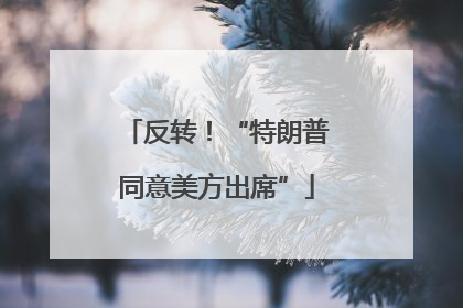 反转！“特朗普同意美方出席”
