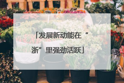 发展新动能在“浙”里强劲活跃