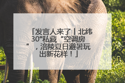 发言人来了丨北纬30°私藏“空调房”，涪陵夏日避暑玩出新花样！
