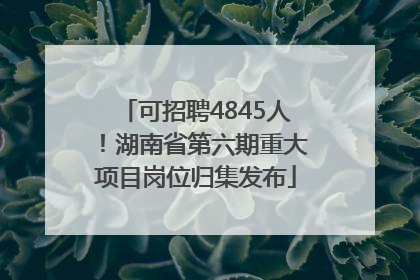 可招聘4845人！湖南省第六期重大项目岗位归集发布