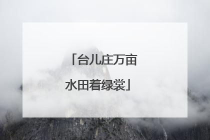 台儿庄万亩水田着绿裳