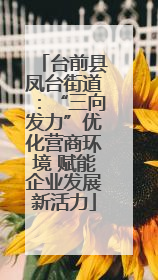 台前县凤台街道：“三向发力”优化营商环境 赋能企业发展新活力