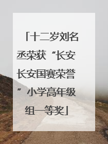十二岁刘名丞荣获“长安长安国赛荣誉”小学高年级组一等奖