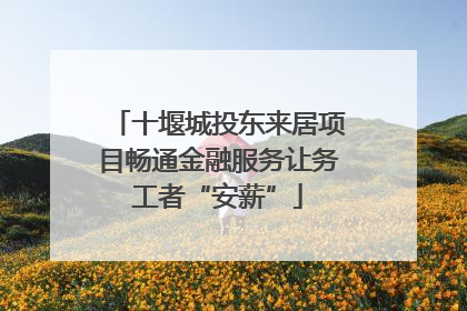 十堰城投东来居项目畅通金融服务让务工者“安薪”