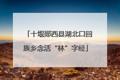 十堰郧西县湖北口回族乡念活“林”字经