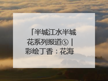 半城江水半城花系列报道⑤｜彩绘丁香：花海映照一座城