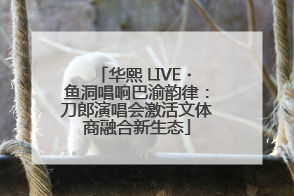 华熙 LIVE・鱼洞唱响巴渝韵律：刀郎演唱会激活文体商融合新生态