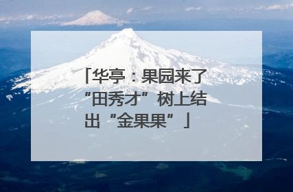 华亭：果园来了“田秀才”树上结出“金果果”