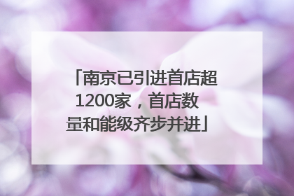 南京已引进首店超1200家，首店数量和能级齐步并进