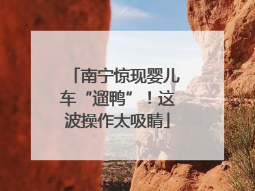 南宁惊现婴儿车“遛鸭”！这波操作太吸睛