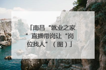 南昌“就业之家”直播带岗让“岗位找人”（图）
