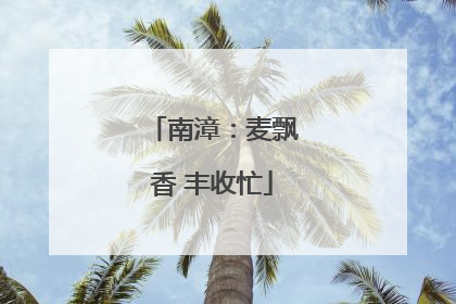南漳：麦飘香 丰收忙