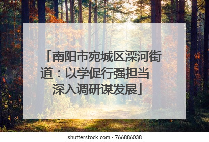 南阳市宛城区溧河街道：以学促行强担当 深入调研谋发展