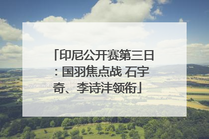 印尼公开赛第三日：国羽焦点战 石宇奇、李诗沣领衔