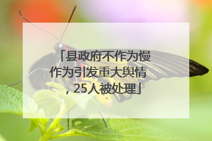 县政府不作为慢作为引发重大舆情，25人被处理