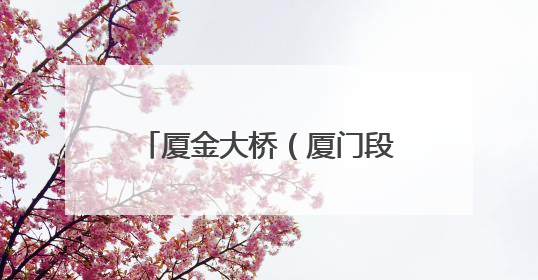 厦金大桥（厦门段），最新进展！