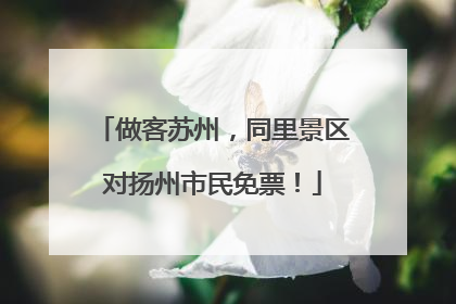 做客苏州，同里景区对扬州市民免票！