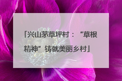 兴山茅草坪村：“草根精神”铸就美丽乡村