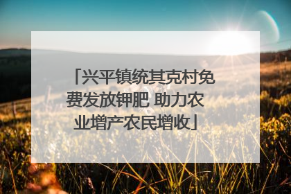 兴平镇统其克村免费发放钾肥 助力农业增产农民增收