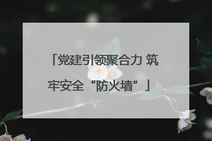 党建引领聚合力 筑牢安全“防火墙”