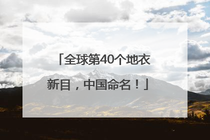 全球第40个地衣新目，中国命名！
