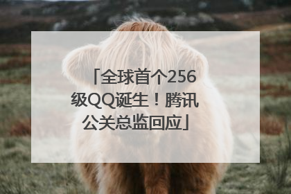 全球首个256级QQ诞生！腾讯公关总监回应