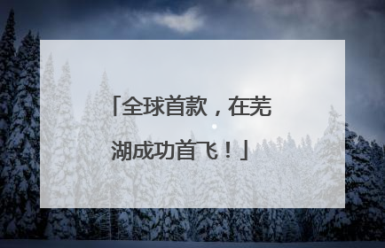 全球首款，在芜湖成功首飞！