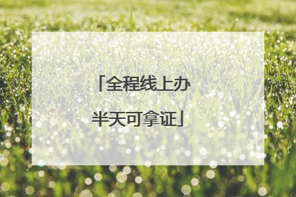 全程线上办 半天可拿证