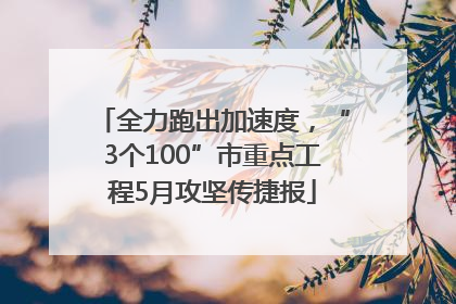全力跑出加速度，“3个100”市重点工程5月攻坚传捷报