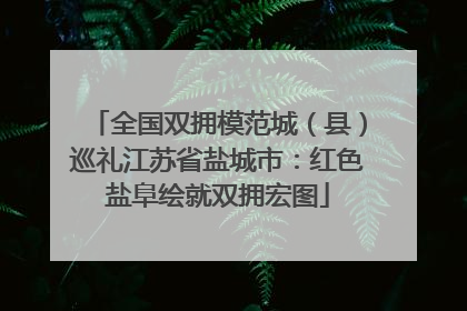 全国双拥模范城（县）巡礼江苏省盐城市：红色盐阜绘就双拥宏图