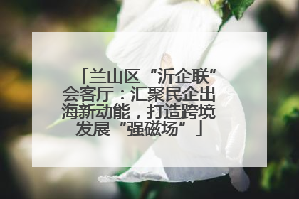 兰山区“沂企联”会客厅：汇聚民企出海新动能，打造跨境发展“强磁场”