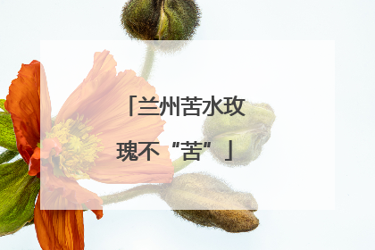 兰州苦水玫瑰不“苦”