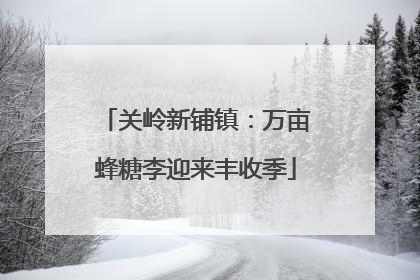 关岭新铺镇：万亩蜂糖李迎来丰收季