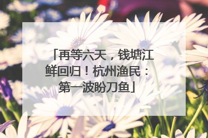 再等六天，钱塘江鲜回归！杭州渔民：第一波盼刀鱼