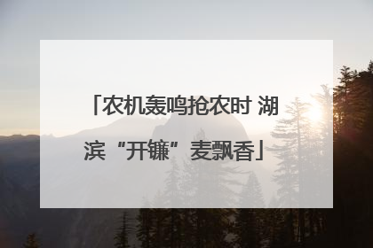 农机轰鸣抢农时 湖滨“开镰”麦飘香